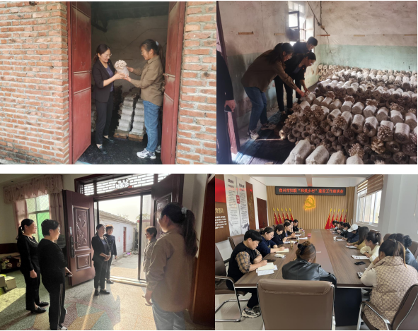 094009-139362.png 微信图片_20231107093209.png